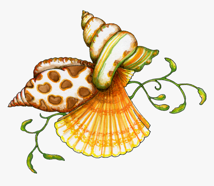 Seashell Border Png Free - Sea Shells Clip Art, Transparent Png, Free Download