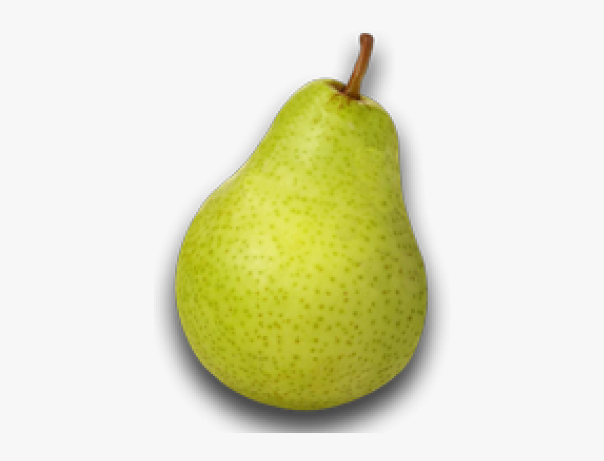 Pear Fruit Watermelon - Pera Con Nombre En Ingles, HD Png Download, Free Download