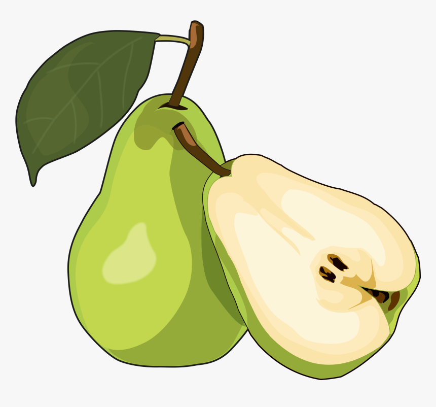 Plant,food,fruit Tree,accessory Art - Dibujo De Una Pera, HD Png Download, Free Download