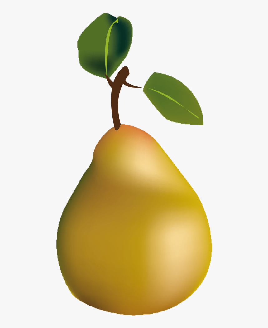 Pear, HD Png Download, Free Download