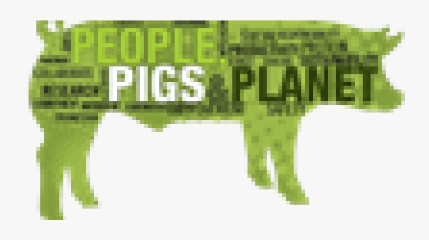 Optimistic Attitude Across The Pork Industry - Jaguar, HD Png Download, Free Download