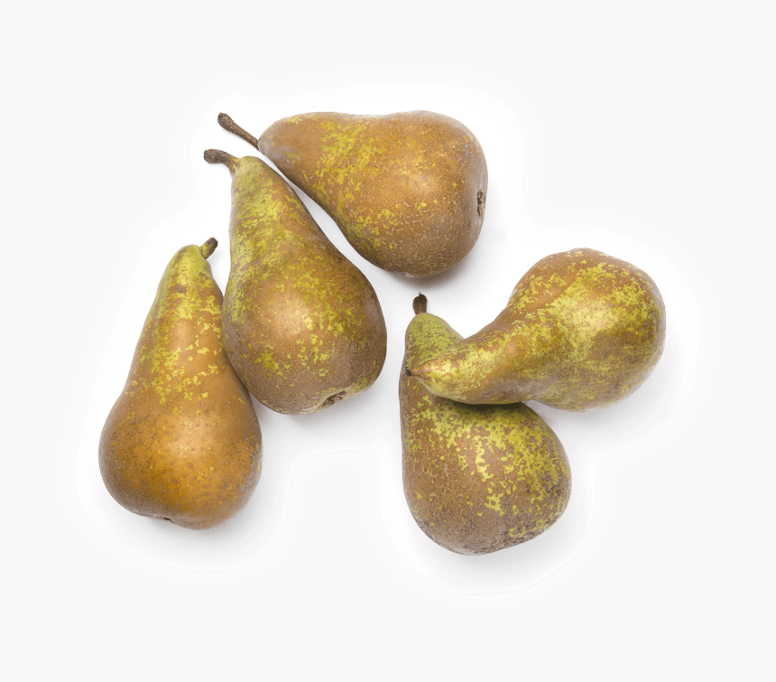 Fig, HD Png Download, Free Download