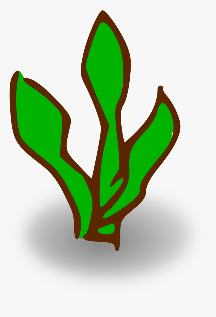 Kelp Clipart, HD Png Download, Free Download