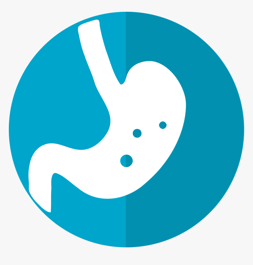 Stomach Icon 2316627 960 720 - Stomach Icon, HD Png Download, Free Download