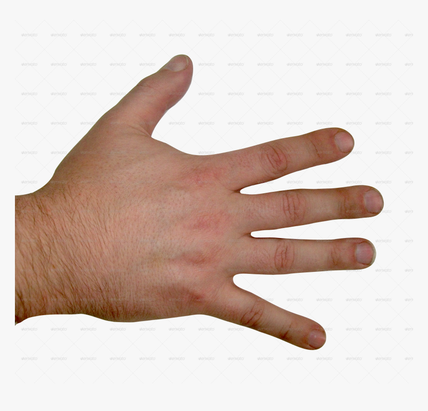 Stick Clipart Arm - Transparent Back Of Hand, HD Png Download, Free Download