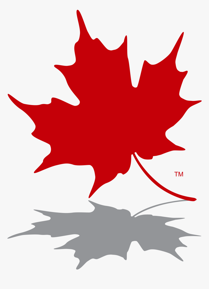 Maple Leaf Logo Red - Transparent Canadian Maple Leaf, HD Png Download, Free Download