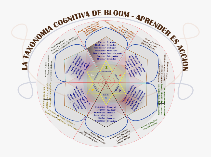 La Rosa De Bloom - Taxonomy Of Knowledge, HD Png Download, Free Download