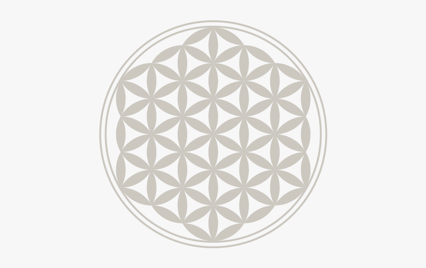 Flower Of Life Color, HD Png Download, Free Download