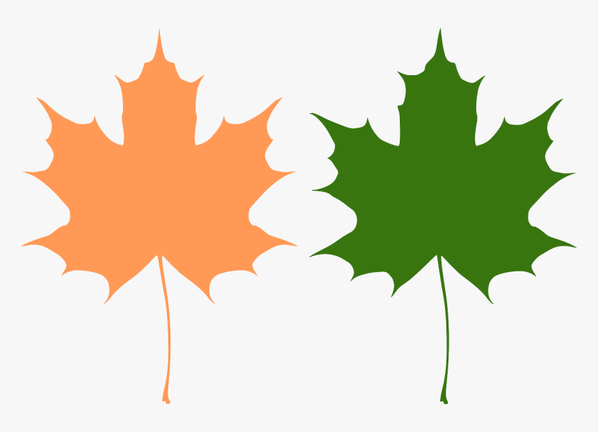 Clip Art Maple Leaf Vector - Maple Leaves Vector, HD Png Download, Free Download
