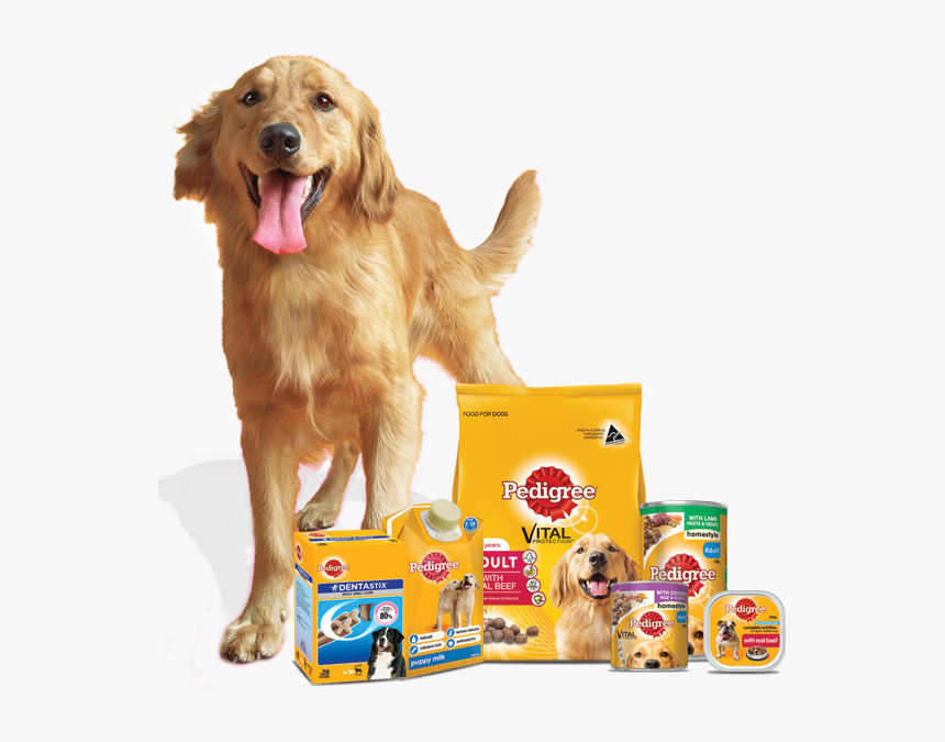 About Pedigree, Ares The Golden Retriever - Golden Retriever Pedigree Food, HD Png Download, Free Download