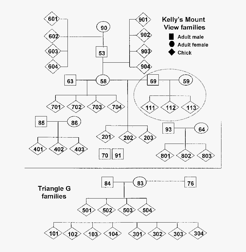 Diagram, HD Png Download, Free Download