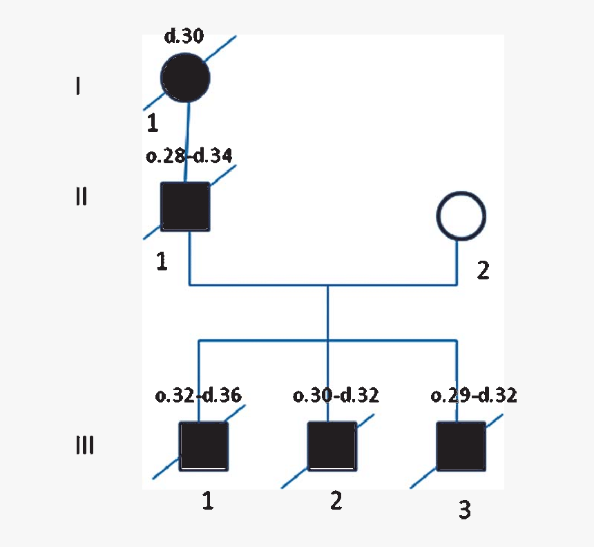 Diagram, HD Png Download, Free Download