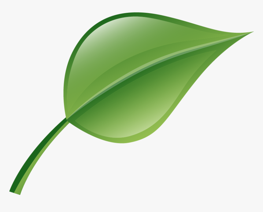 Leaf-icon, HD Png Download, Free Download