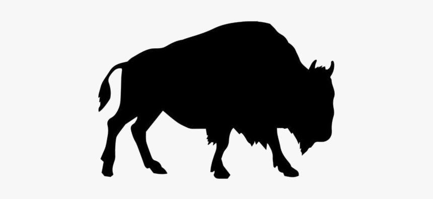 Bison Bull Png Transparent Images - Bull, Png Download, Free Download