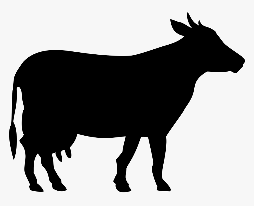 13 Vector Cow Icon Images - Cow Png Black And White, Transparent Png, Free Download