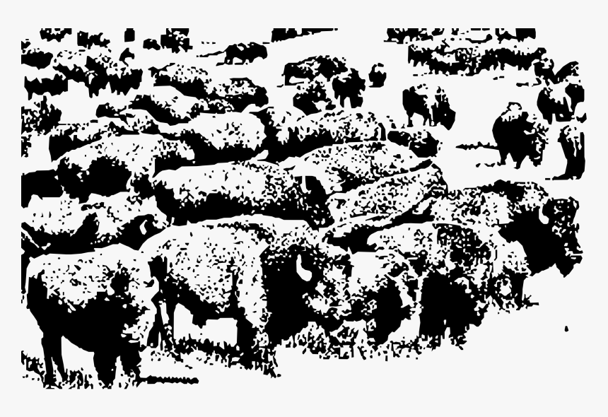 Sheep,bull,silhouette - Buffalo Herd Black And White, HD Png Download, Free Download