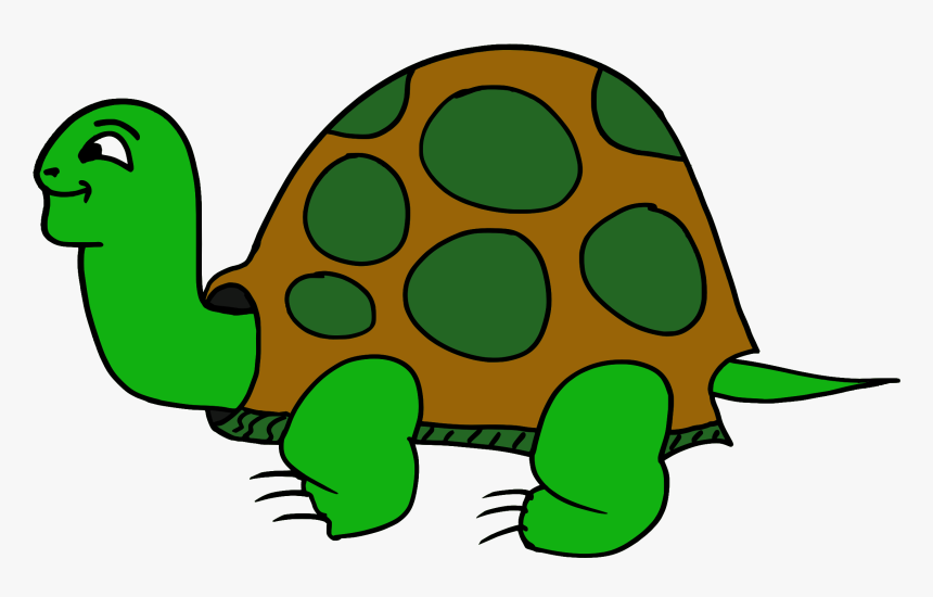 Tortuga Clip Arts - Animals That Crawl Clipart, HD Png Download, Free Download