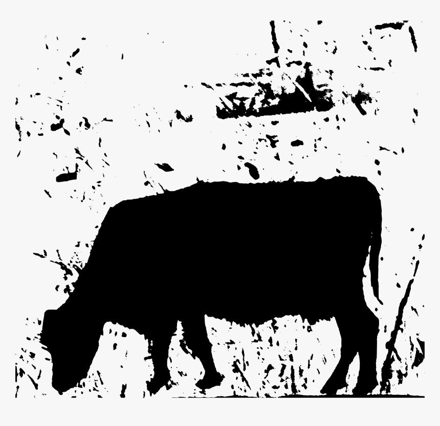 Transparent Cattle Clipart Black And White - Illustration, HD Png Download, Free Download