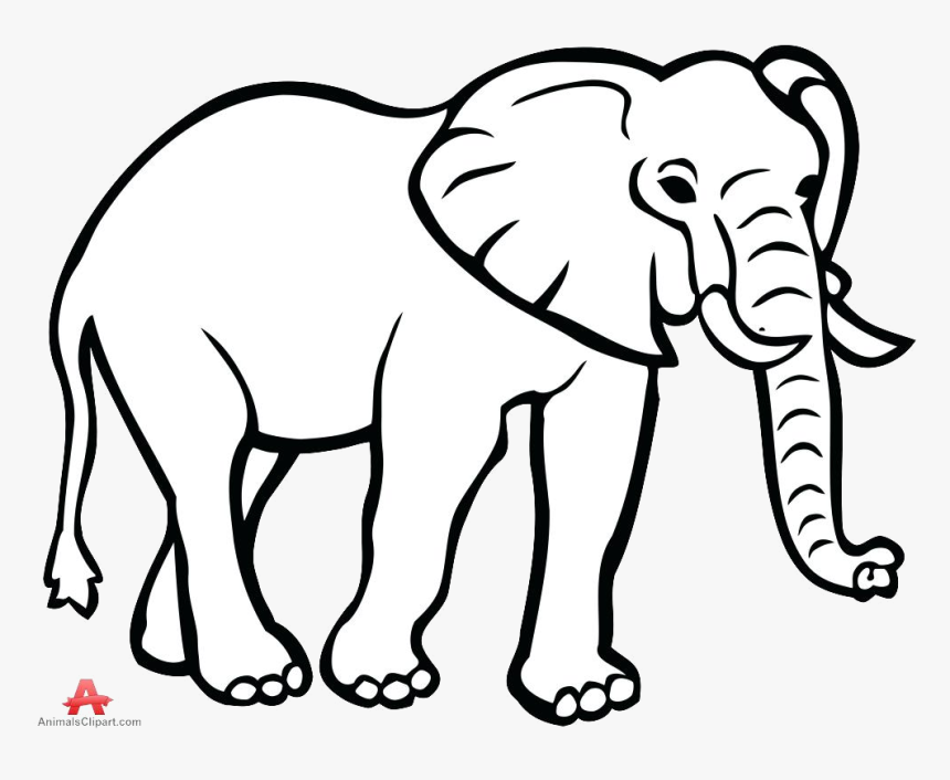 Elephant Outline Drawing Face Clipart Free Transparent - Outline Drawing Of Elephant, HD Png Download, Free Download