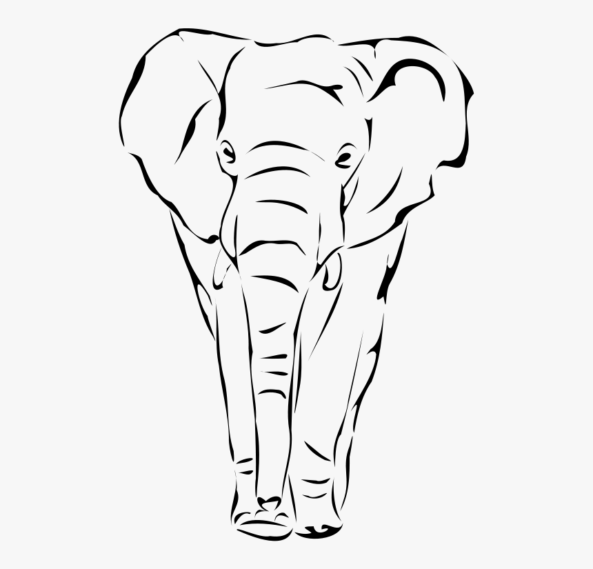 Transparent Elephant Head Png - Drawing Elephant Face, Png Download, Free Download