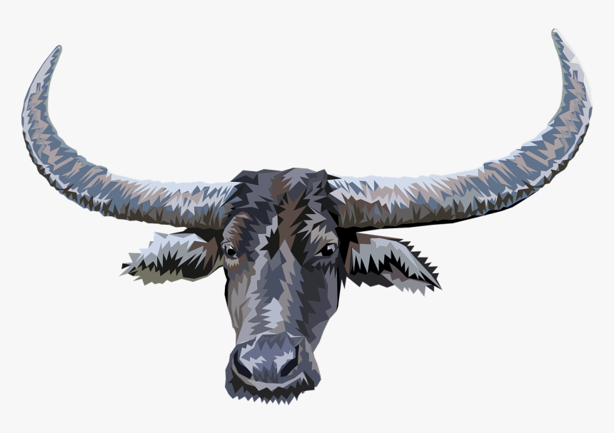 Animal Head Buffalo Nature Marajoara - Bufalo Do Marajó Png, Transparent Png, Free Download