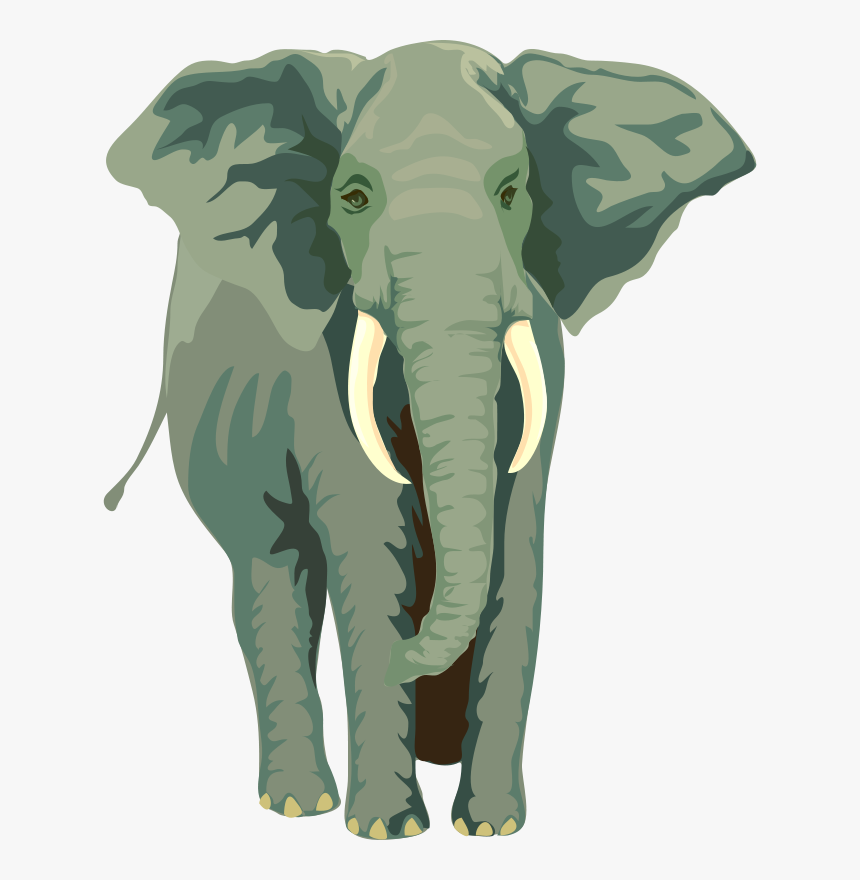 Elephant, Rope, Tied-up, Drawing - Elephant Tied To A Rope, HD Png Download, Free Download