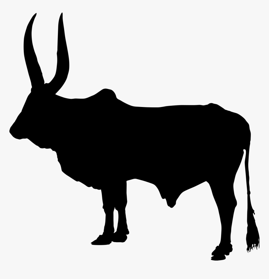 Zebu Silhouette Png, Transparent Png, Free Download