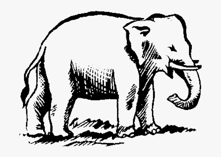 Indian Election Symbol Elephant 2 - Elephant Drawing Png, Transparent Png, Free Download