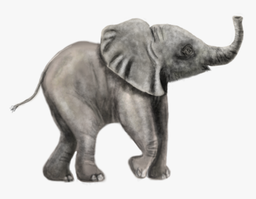 Transparent Elephant Drawing Png - Indian Elephant, Png Download, Free Download