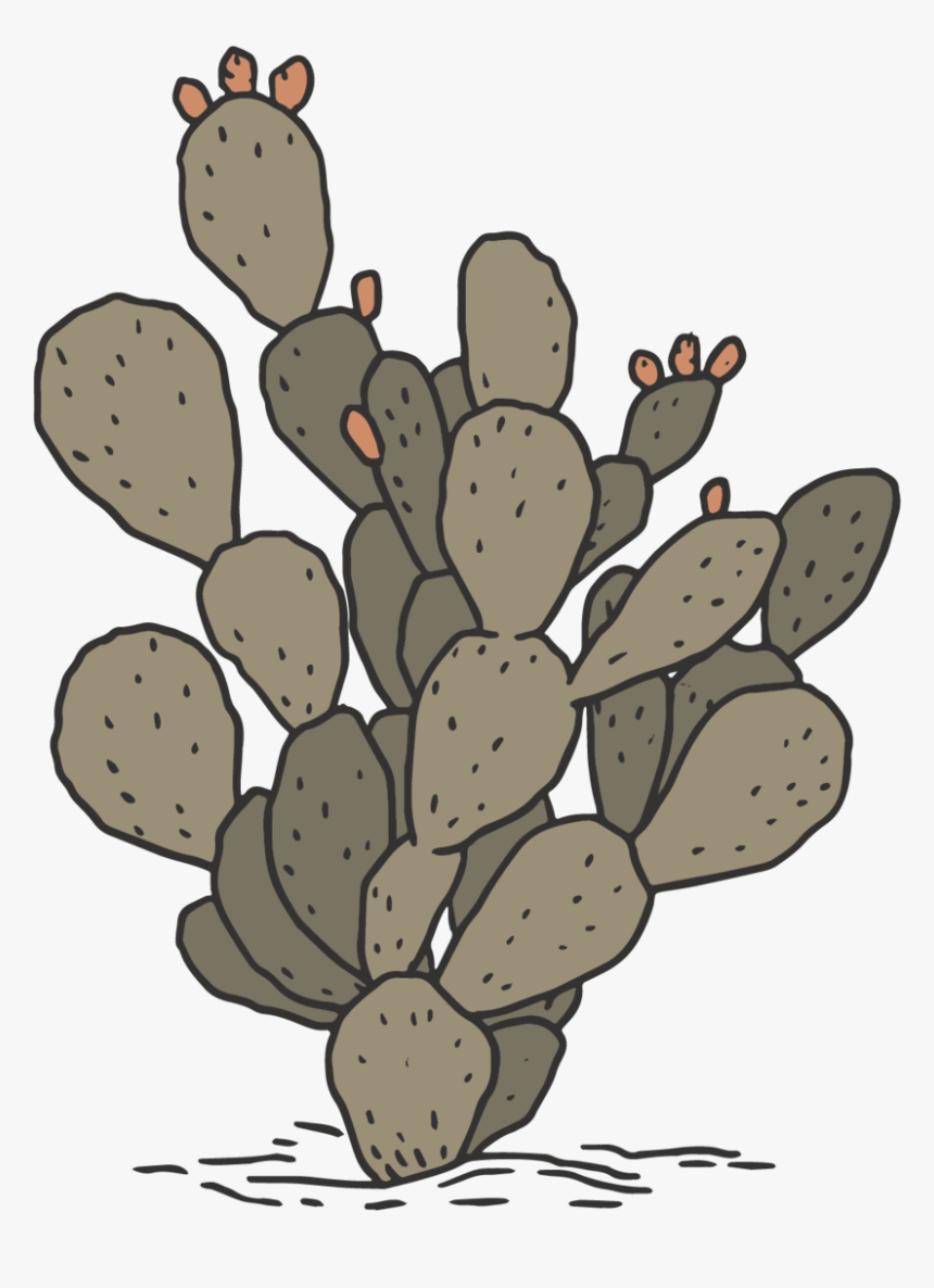 The Drawhorns-13 - Eastern Prickly Pear, HD Png Download, Free Download