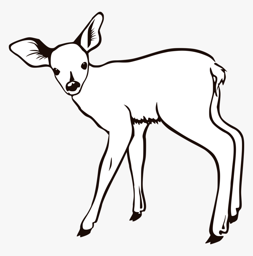 Fawn Outline, HD Png Download, Free Download