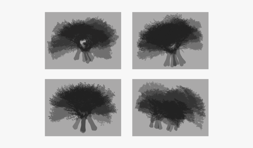 Tree, HD Png Download, Free Download