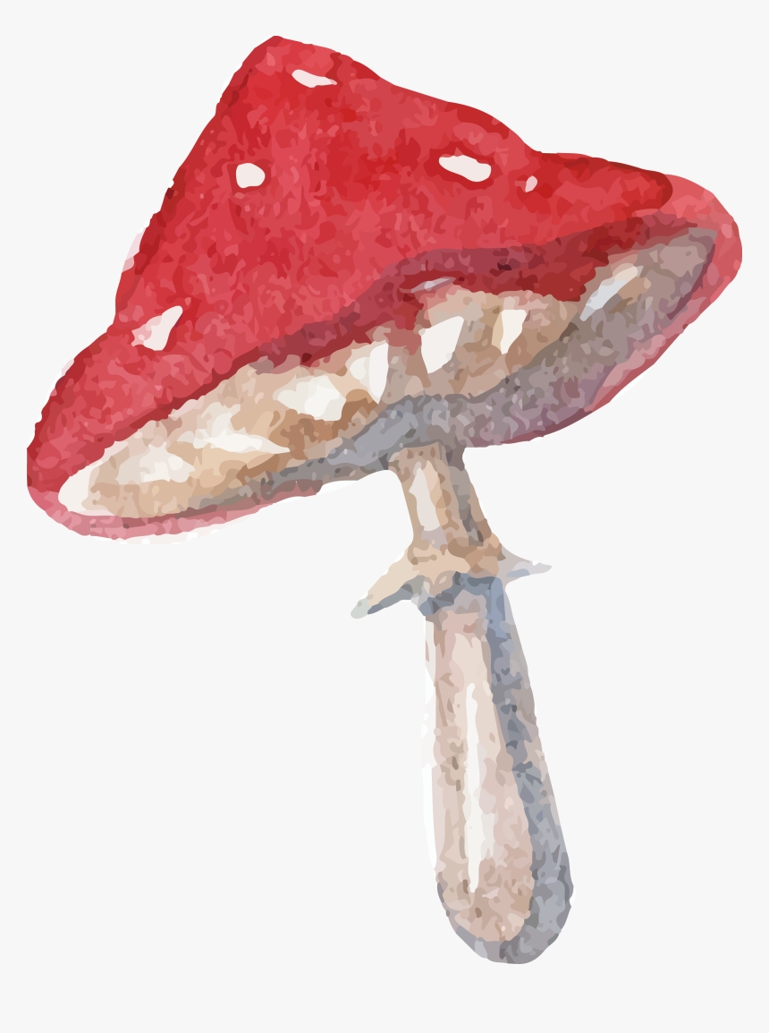 Alice In Wonderland Mushroom Png, Transparent Png, Free Download