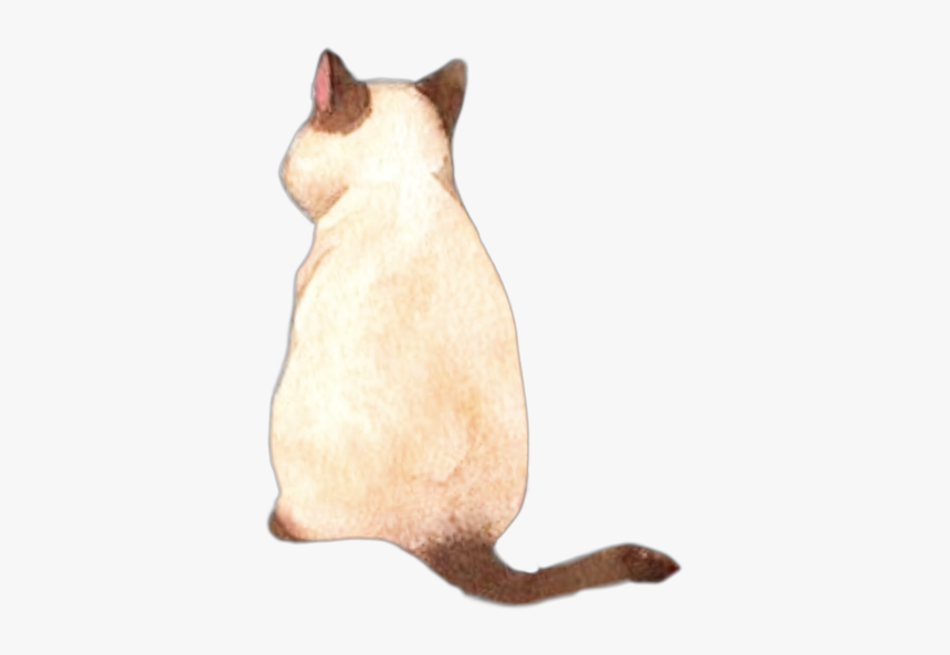 #cat #kawaii #anime #aesthetic - Transparent Aesthetic Anime Cat, HD Png Download, Free Download