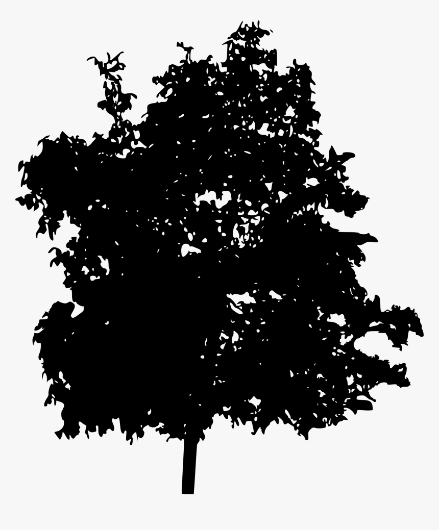 Tree Silhouette 2 - Silhouette, HD Png Download, Free Download