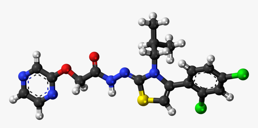 Way-208,466 Molecule Ball - Flavonoid Molecules 3d, HD Png Download, Free Download