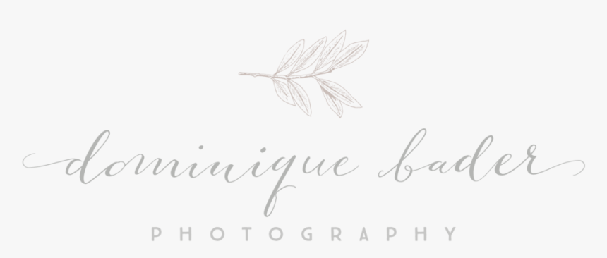 Dominique Bader Photography Logo Design By Ditto Creative, - Calligraphy, HD Png Download, Free Download