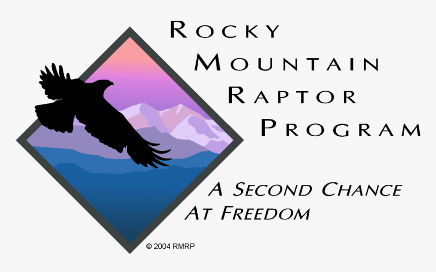 Rocky Mountain Raptor Program Logo, HD Png Download, Free Download