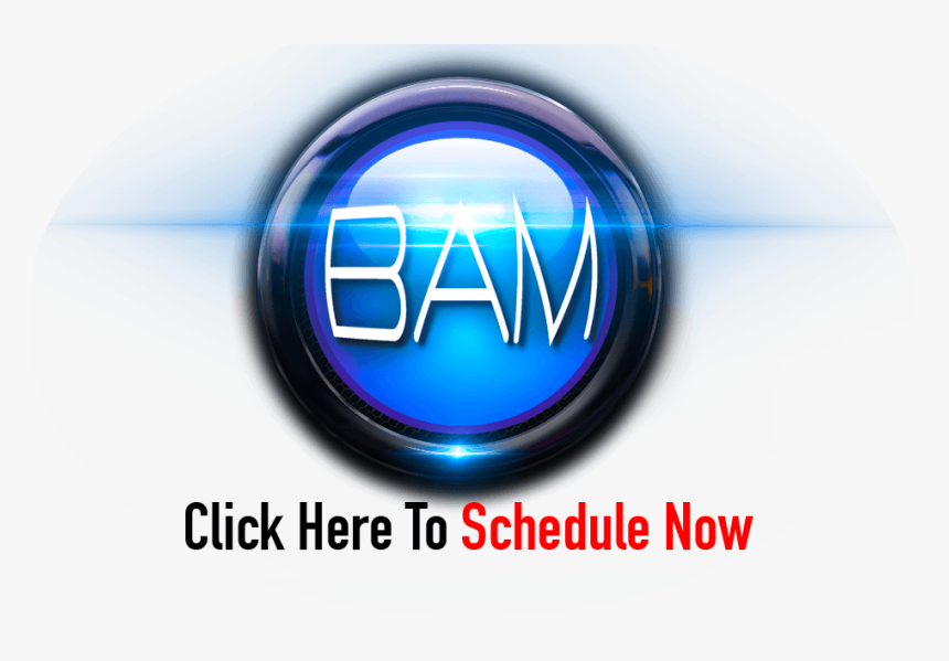 Bam Button Schedule Now - Tierra De Sabor, HD Png Download, Free Download