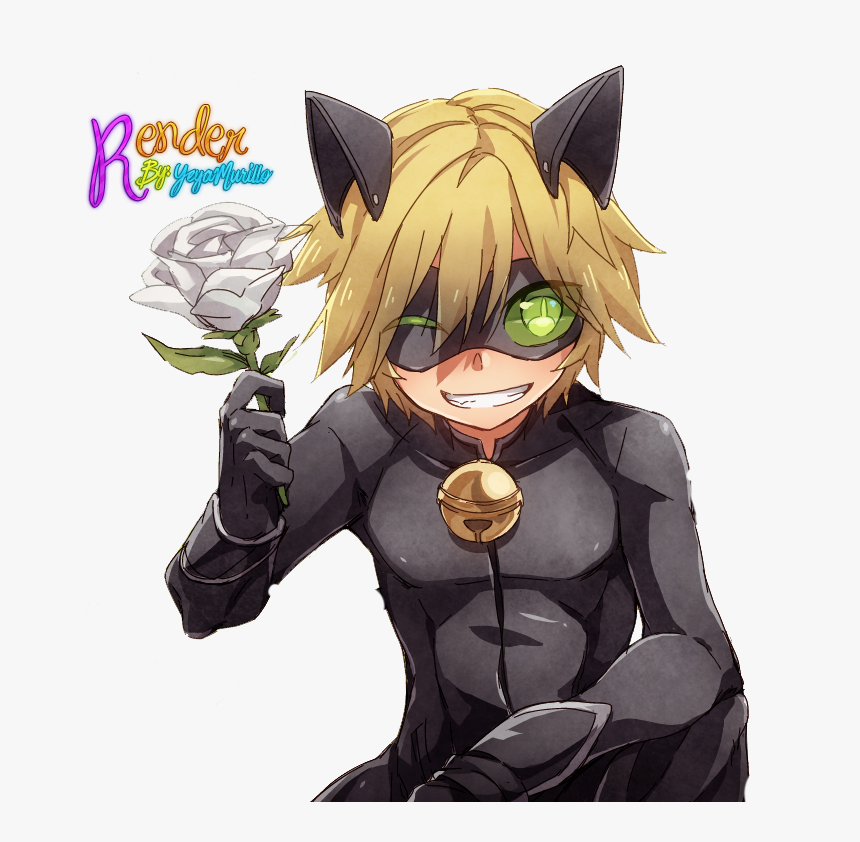 Adrien Agreste Black Cat Kitten Online Chat - Miraculous Chat Noir Anime, HD Png Download, Free Download