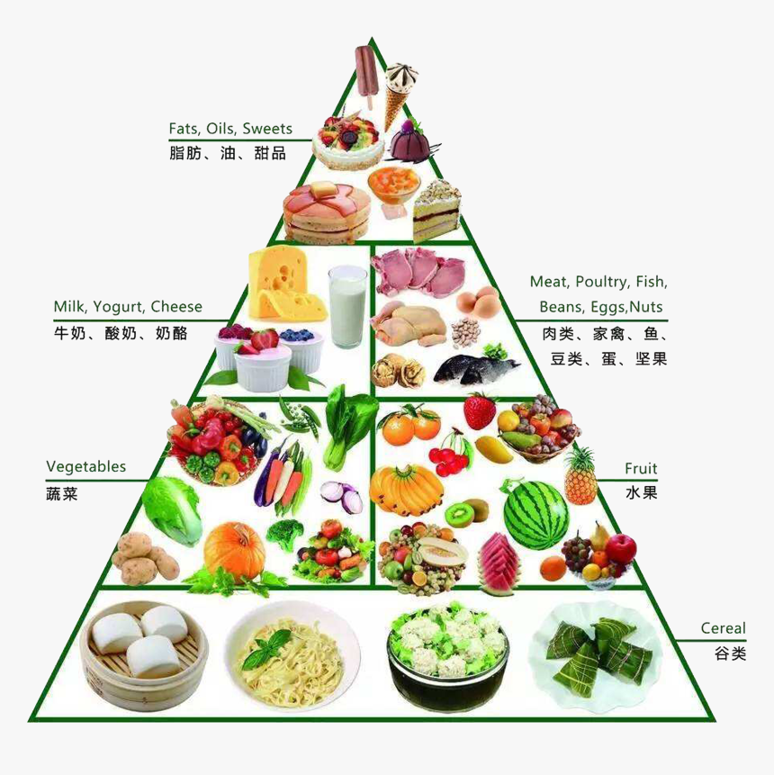 Food Pyramid Png - Free Download Food Pyramid, Transparent Png, Free Download