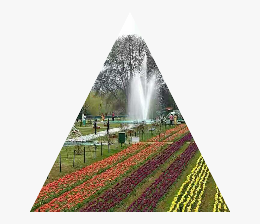 Indira Gandhi Memorial Tulip Garden, HD Png Download, Free Download