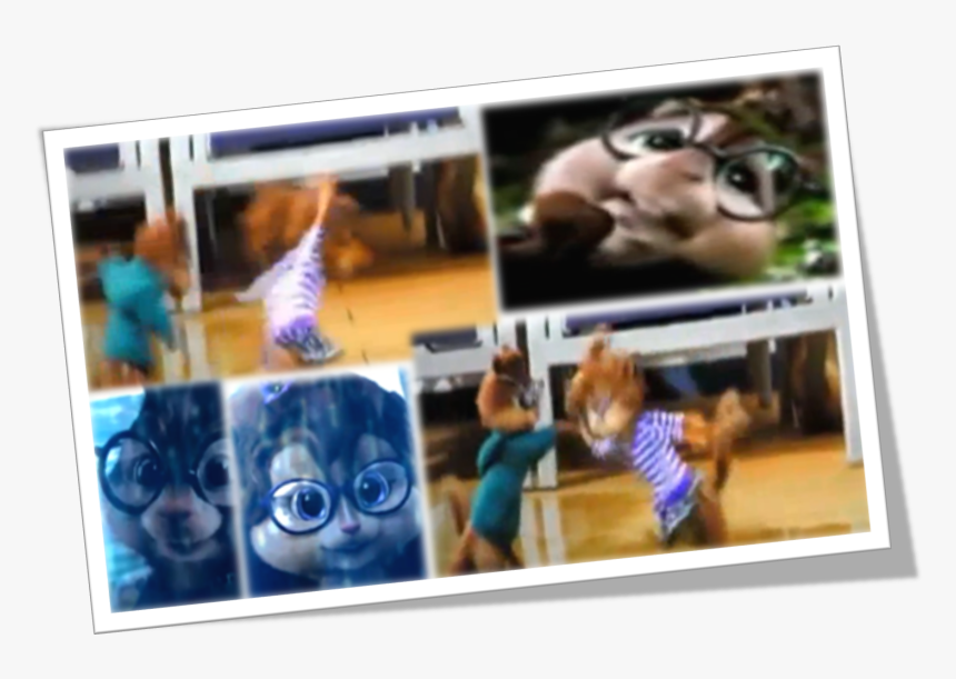 Monkey, HD Png Download, Free Download