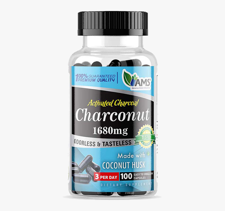 Shark, HD Png Download, Free Download