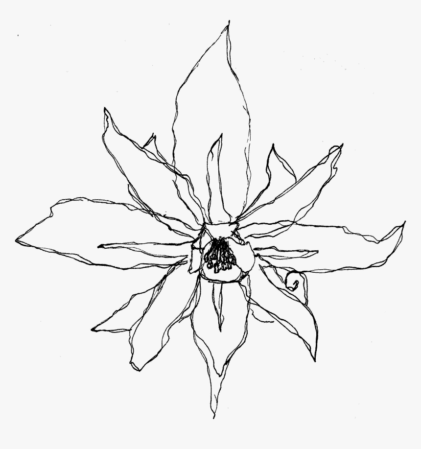 Flower - Sketch, HD Png Download, Free Download