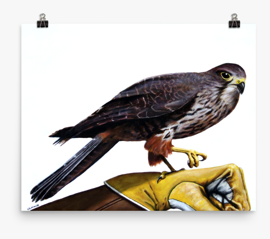 Poster, HD Png Download, Free Download