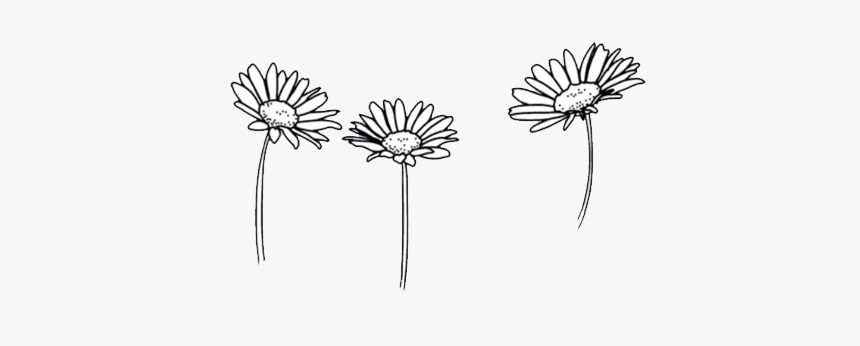 #flower #art #flowers #doodle #freetoedit - Flower Drawings Black And White, HD Png Download, Free Download