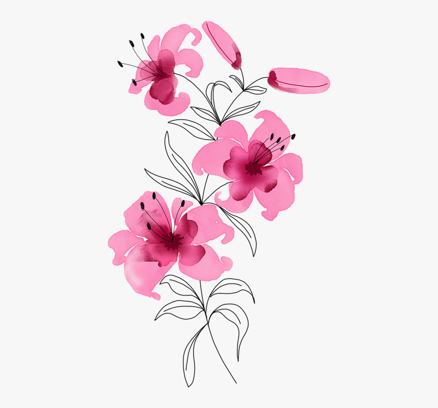 Hibiscus, HD Png Download, Free Download