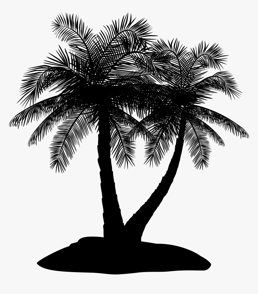 Asian Palmyra Palm Date Palm Palm Trees Silhouette - Silhouette, HD Png Download, Free Download