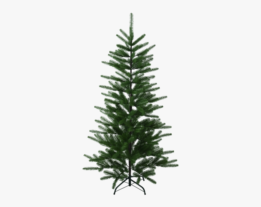 Christmas Tree Boden - Weihnachtsbaum Tanne, HD Png Download, Free Download